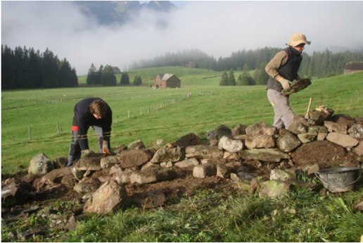 Zivildiensteinsatz Stiftung Umwelt-Einsatz Schweiz